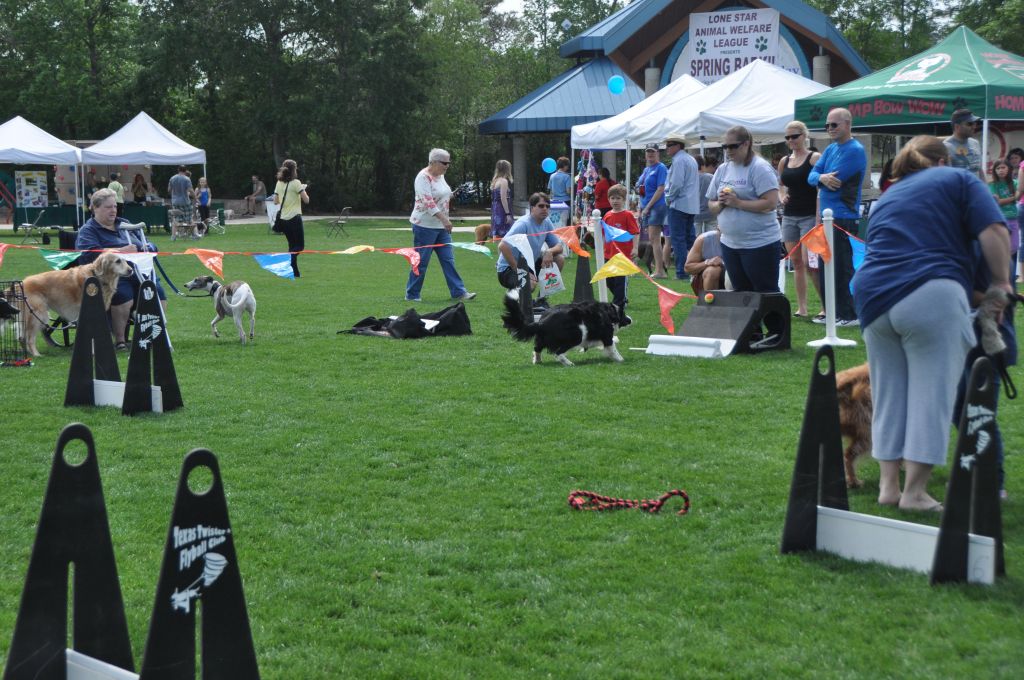 0482 spring bark 2013.jpg