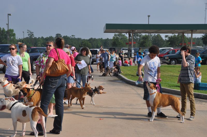 0363 pethealthfair 5-13.jpg