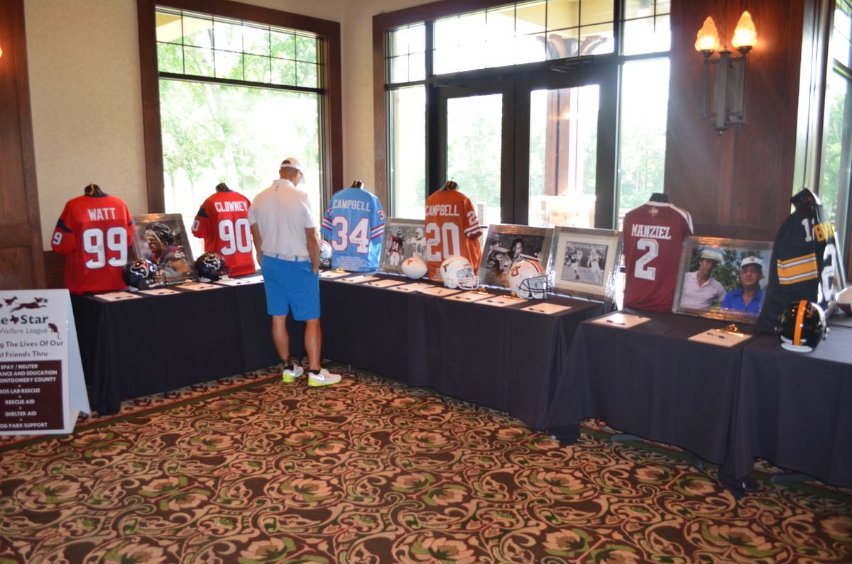 D in Rough 2014 007.jpg