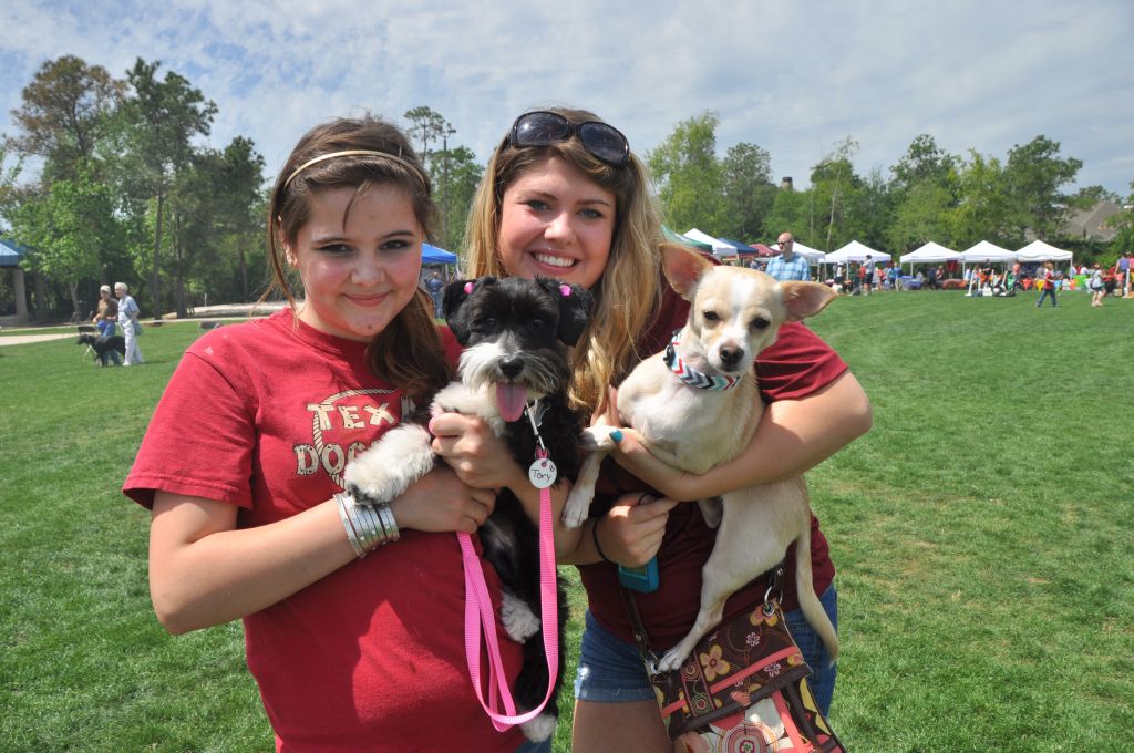 0568 springbark 2013.jpg