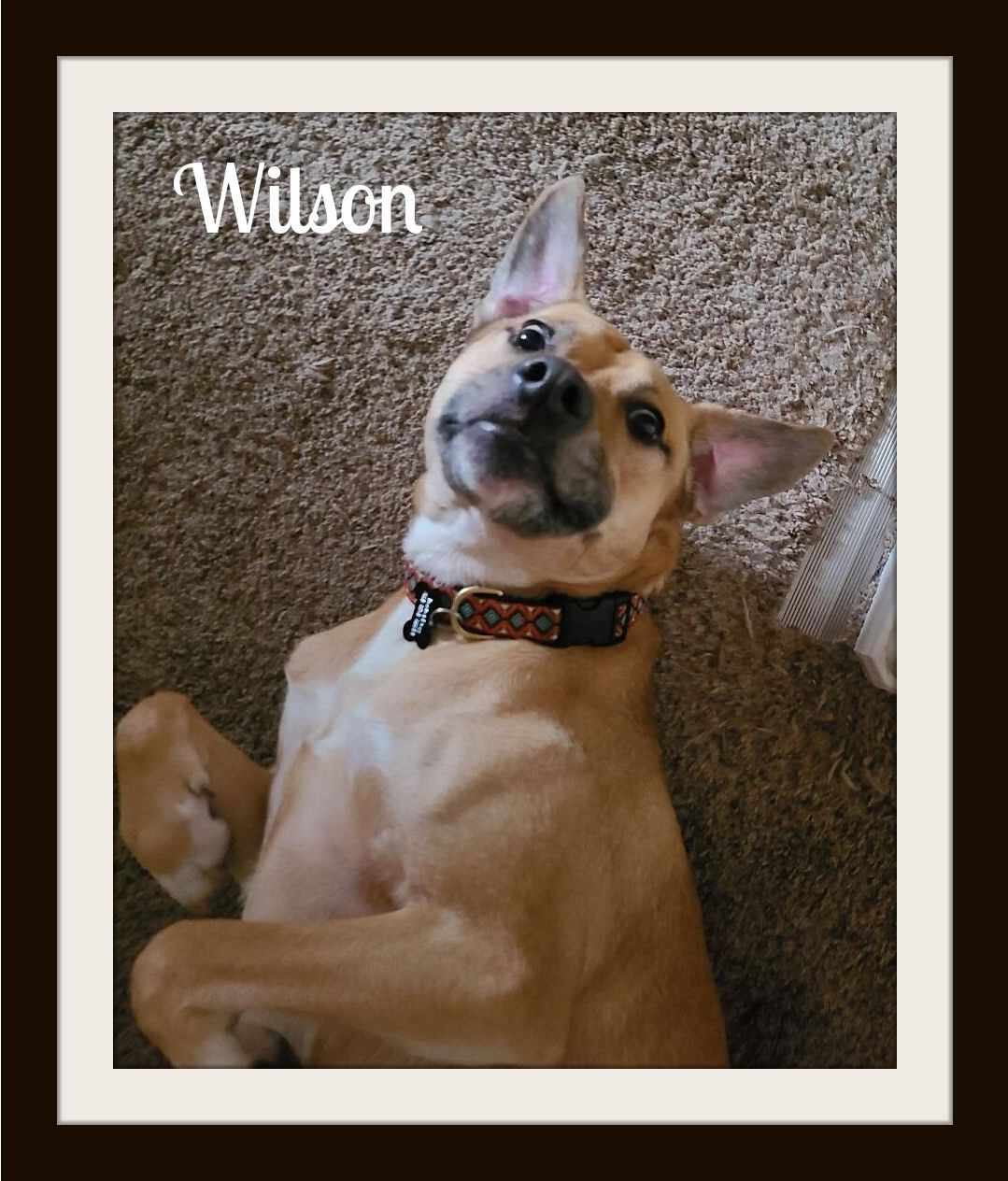 Wilson1 (2).jpg