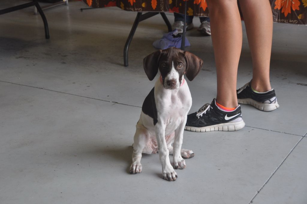 0148 Pet Health Fair 11-13.jpg