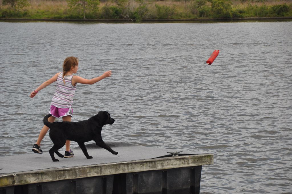 0638 spring bark 2013.jpg