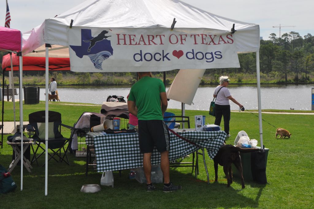 0419 spring bark 2013.jpg