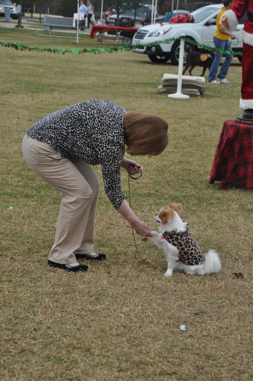 0344 PawswithClaus 12-1-2012.jpg