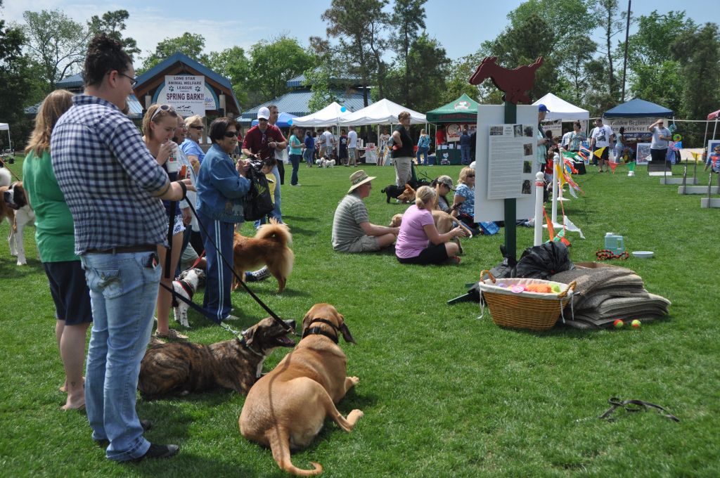 0533 spring bark 2013.jpg