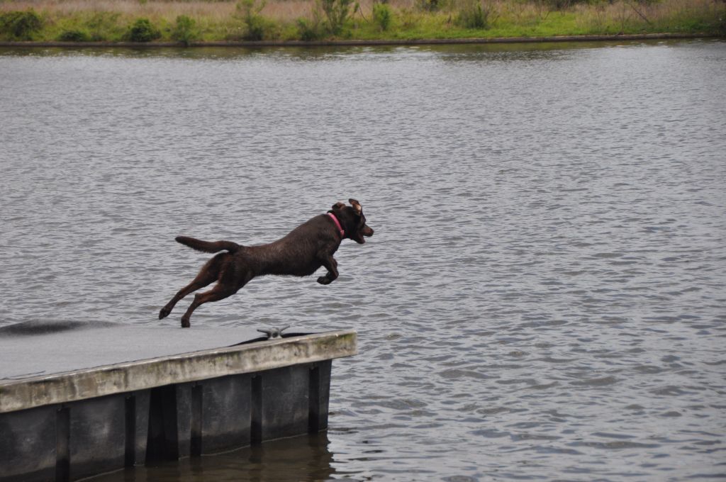 0624 spring bark 2013.jpg