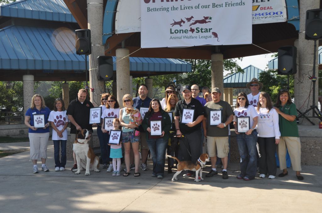 0299 springbark 2013.jpg