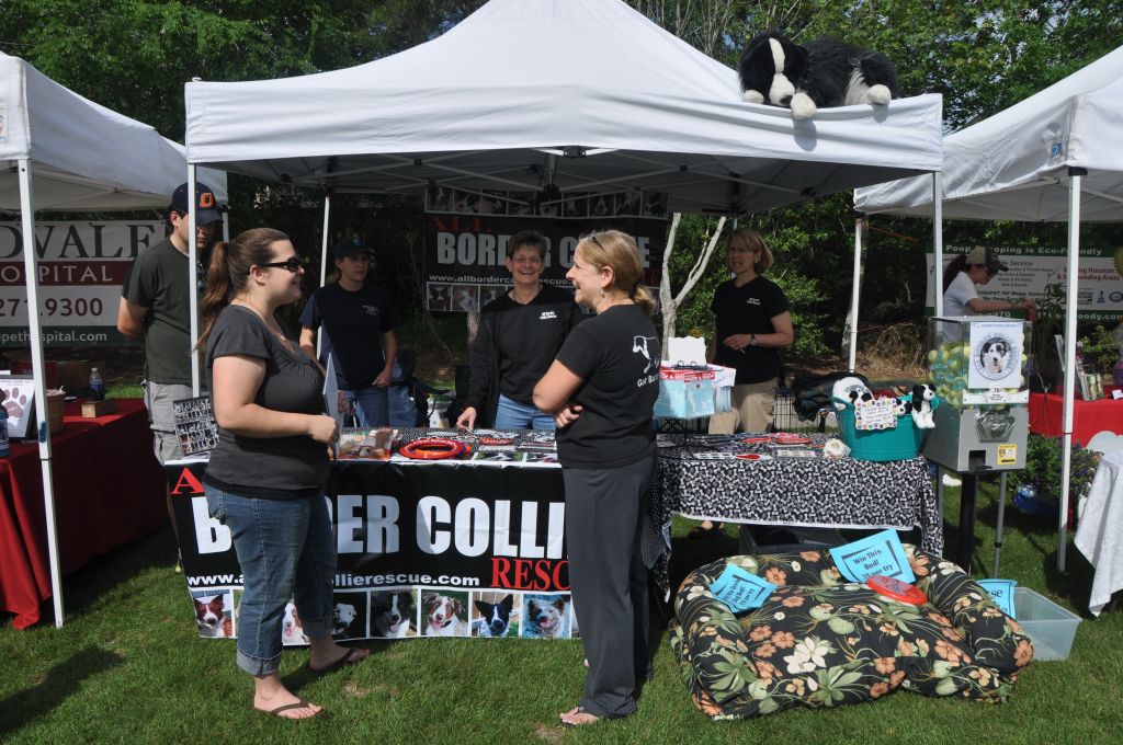 0380 spring bark 2013.jpg