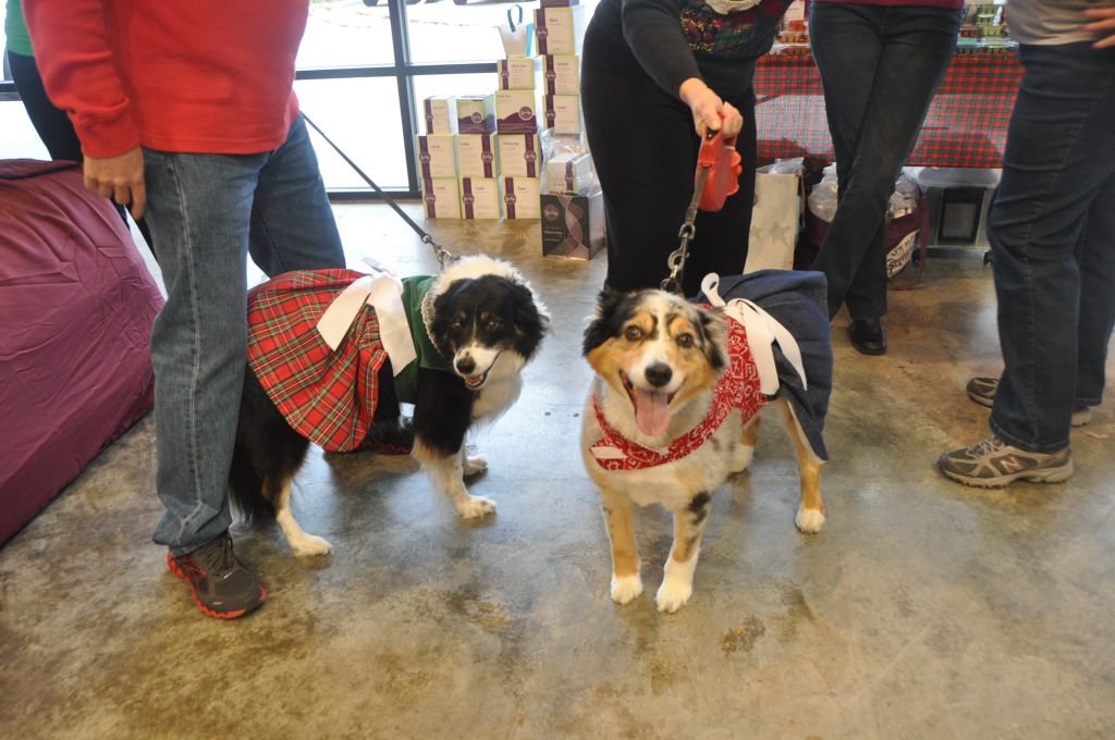 0517 PWC 12-8-13.jpg