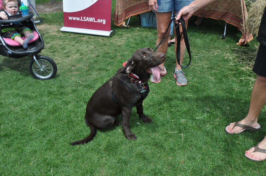 0601 spring bark 2013.jpg