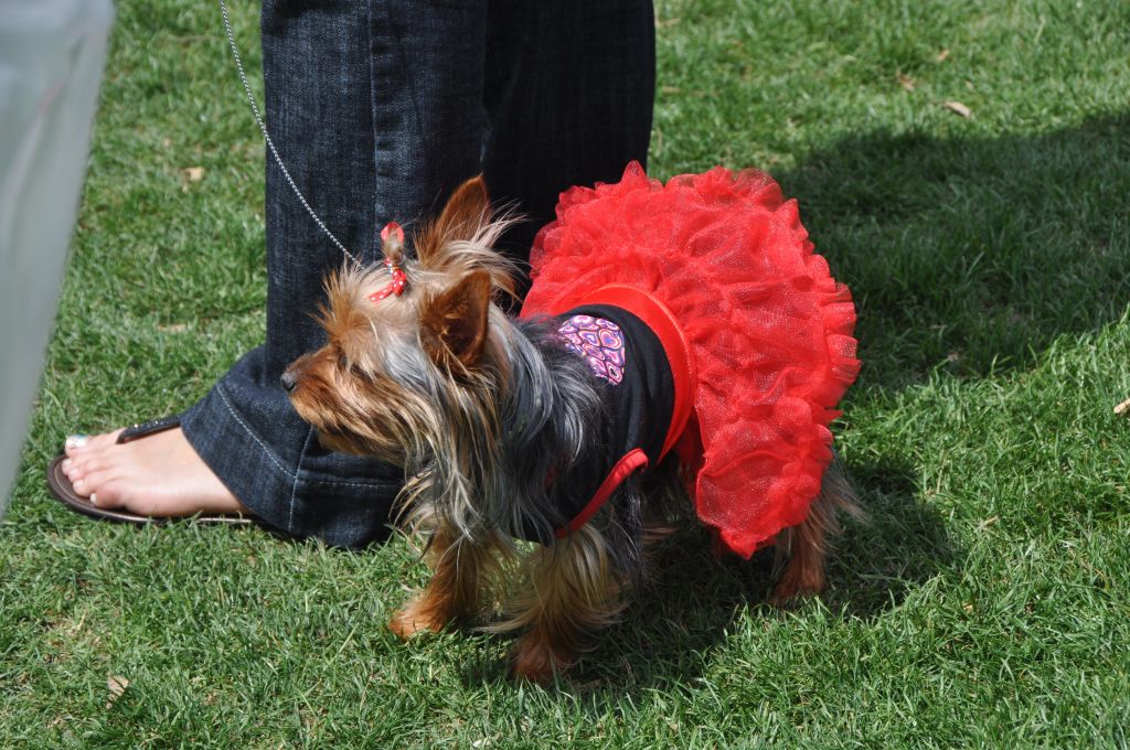 0581 spring bark 2013.jpg