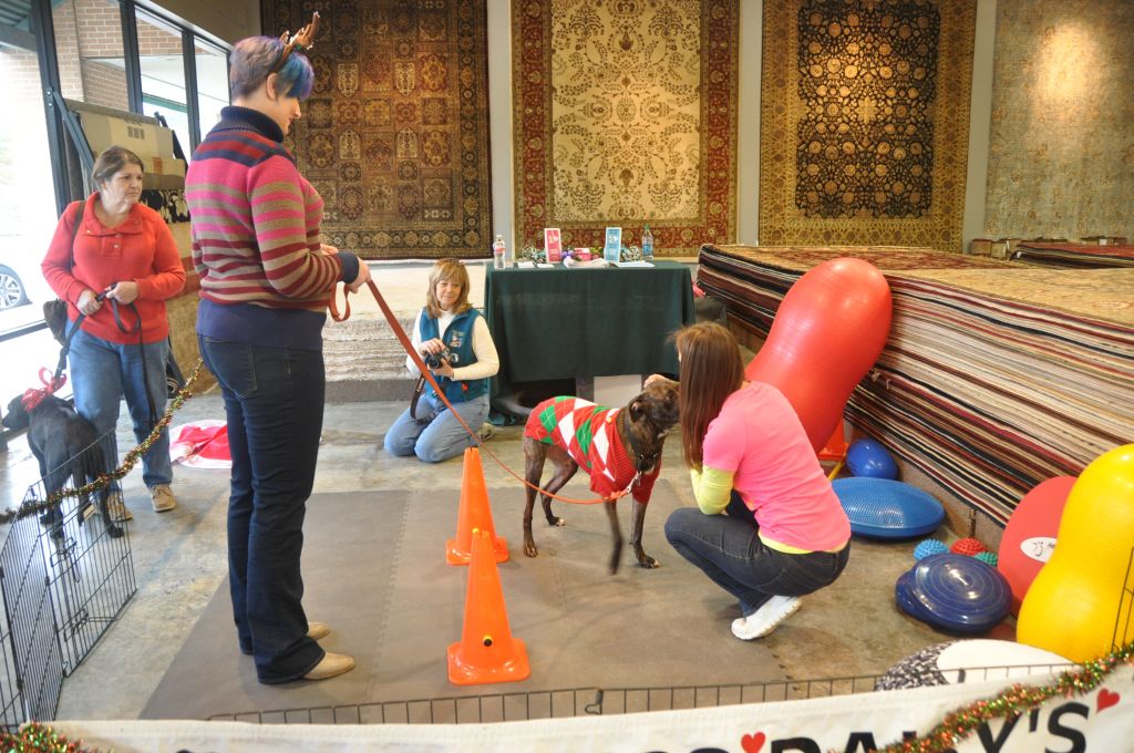 0495 PWC 12-8-13.jpg