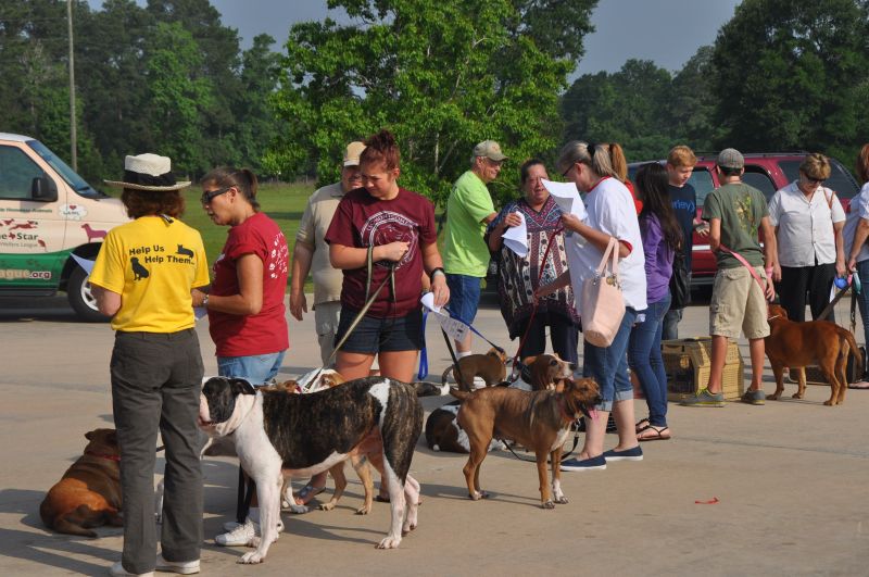0358 pethealthfair 5-13.jpg