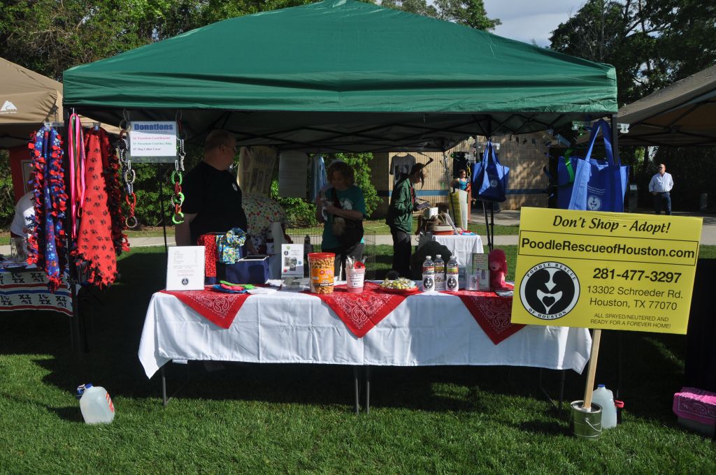 0252 spring bark 2013.jpg