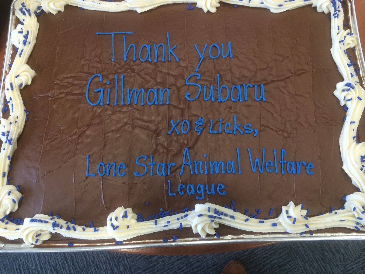 Gillman Cake.jpg