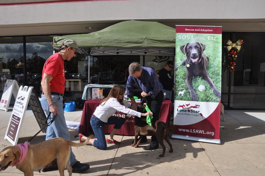 11-10 Nat Paws Adoption-7.jpg