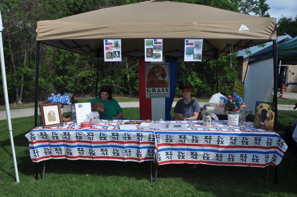 0384 spring bark 2013.jpg