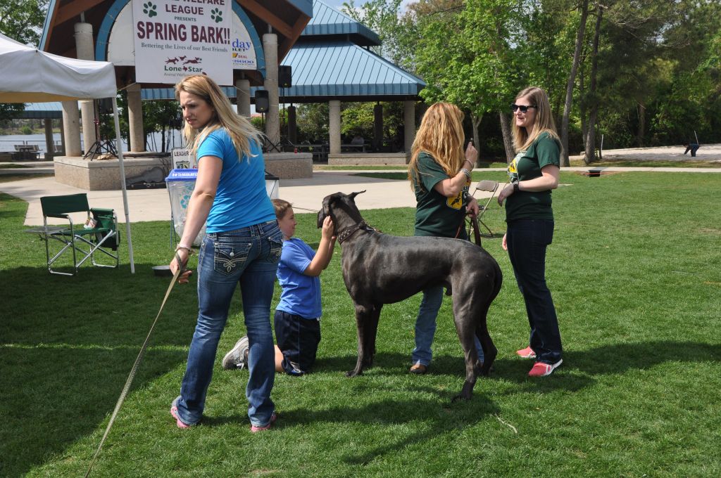 0436 spring bark 2013.jpg