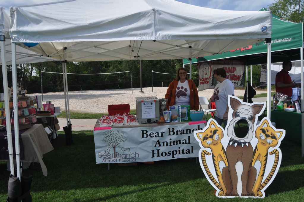 0359 spring bark 2013.jpg