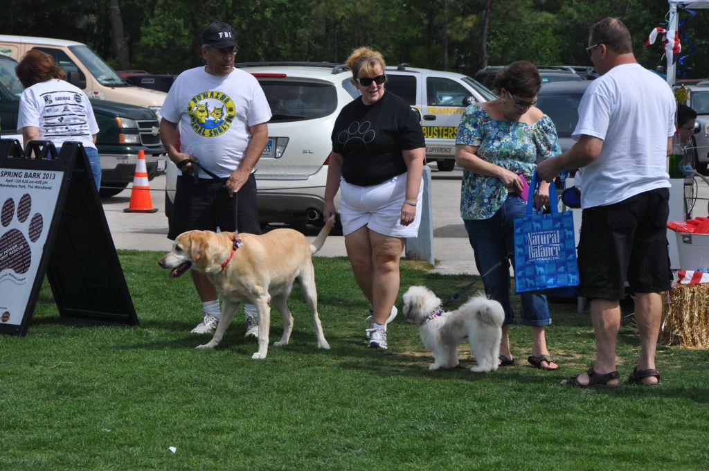 0442 spring bark 2013.jpg