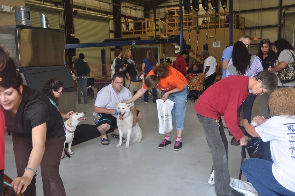 0093 Pet Health Fair 11-13.jpg