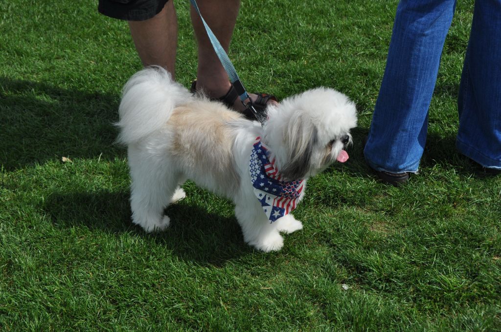 0456 spring bark 2013.jpg