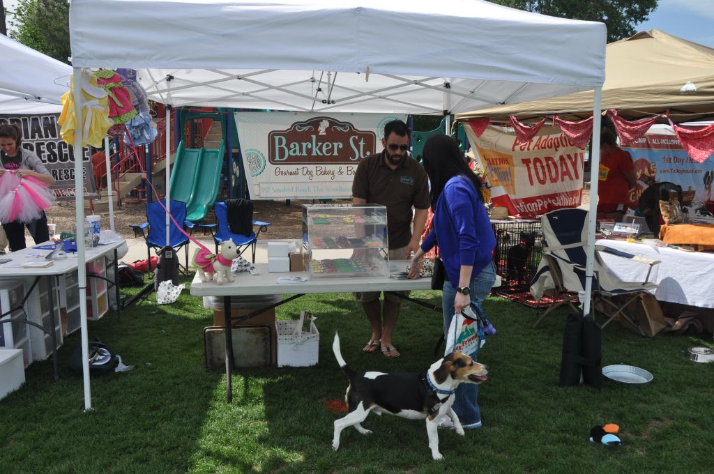 0427 spring bark 2013.jpg