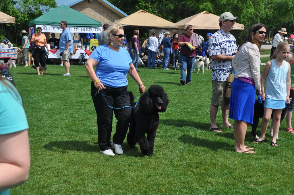 0497 spring bark 2013.jpg