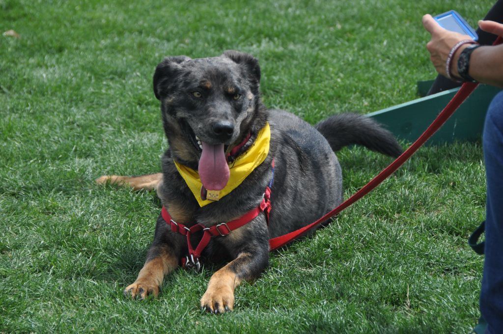 0577 spring bark 2013.jpg