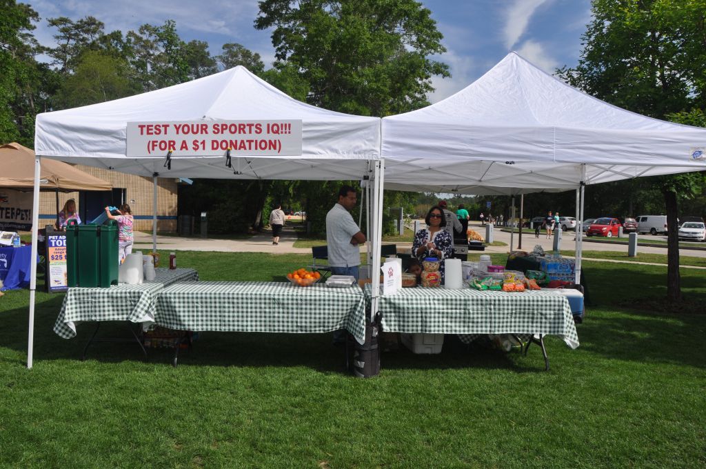 0395 spring bark 2013.jpg