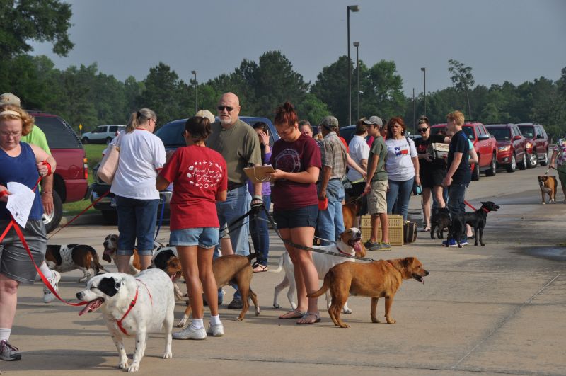 0349 pethealthfair 5-13.jpg