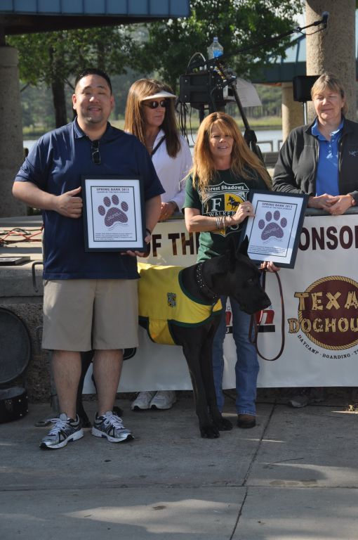 0271 spring bark 2013.jpg