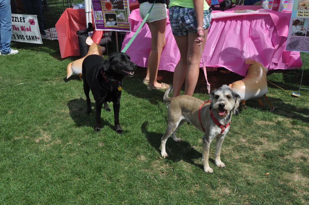 0453 spring bark 2013.jpg