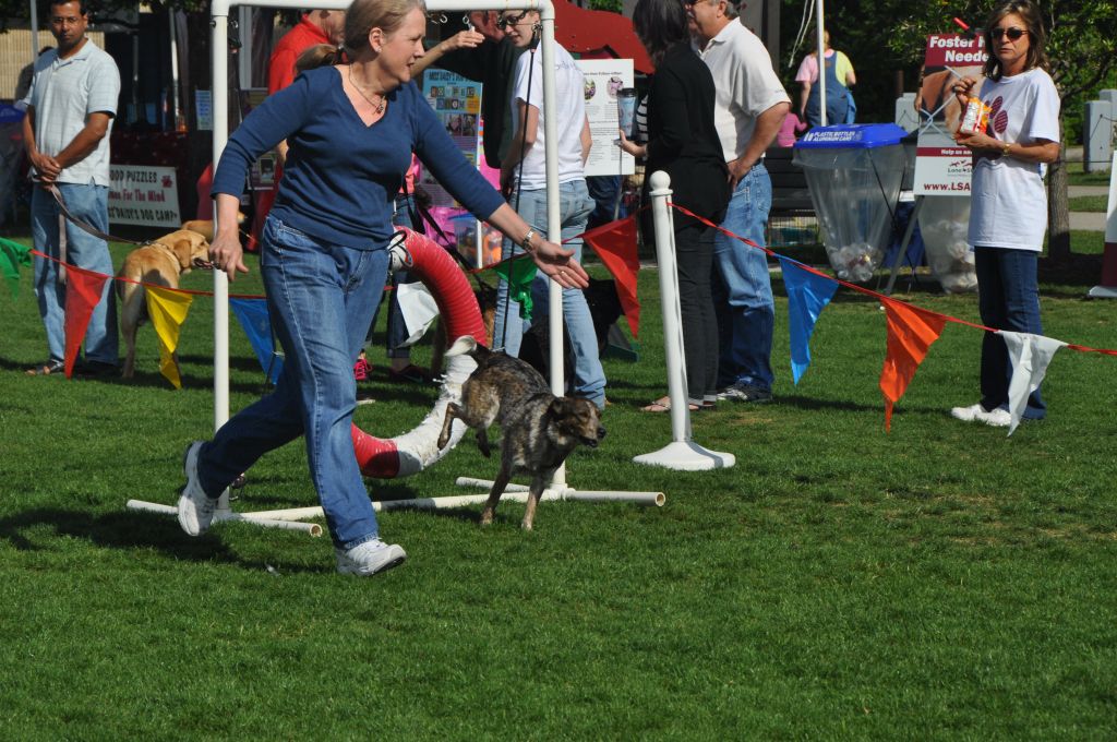 0320 spring bark 2013.jpg