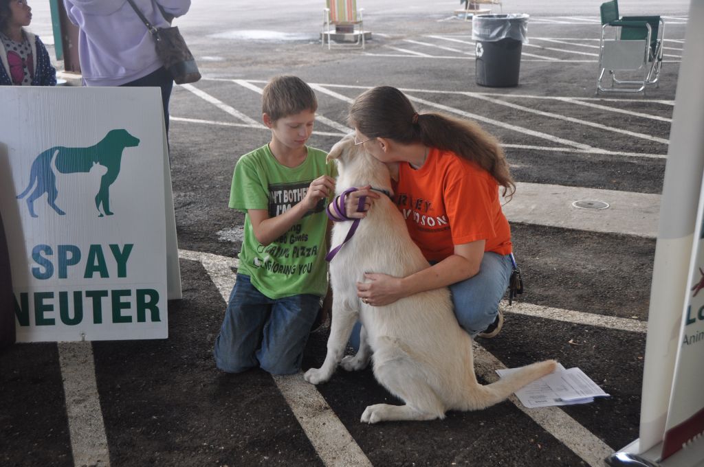 0052 Pet Health Fair 11-13.jpg