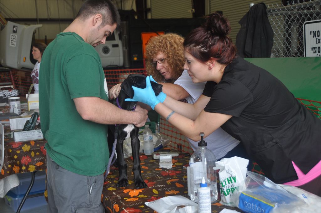 0162 Pet Health Fair 11-13.jpg