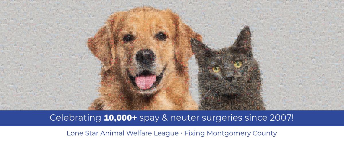 10000 SN.jpg