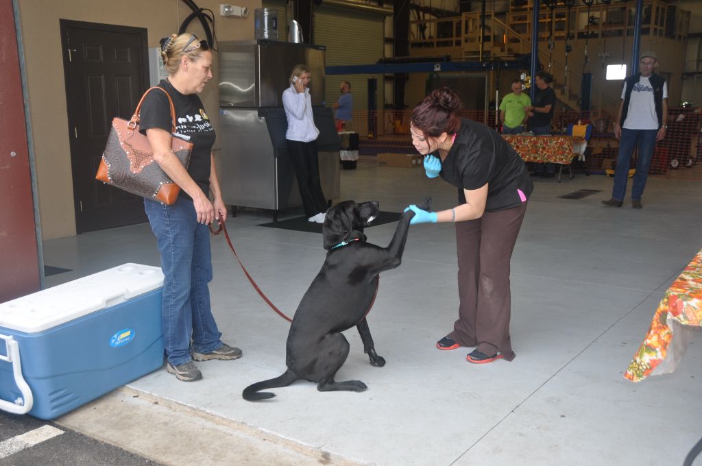 0134 Pet Health Fair 11-13.jpg