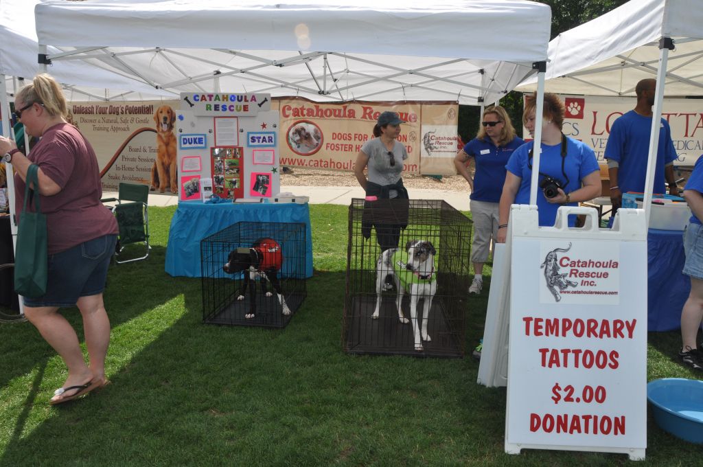 0435 spring bark 2013.jpg