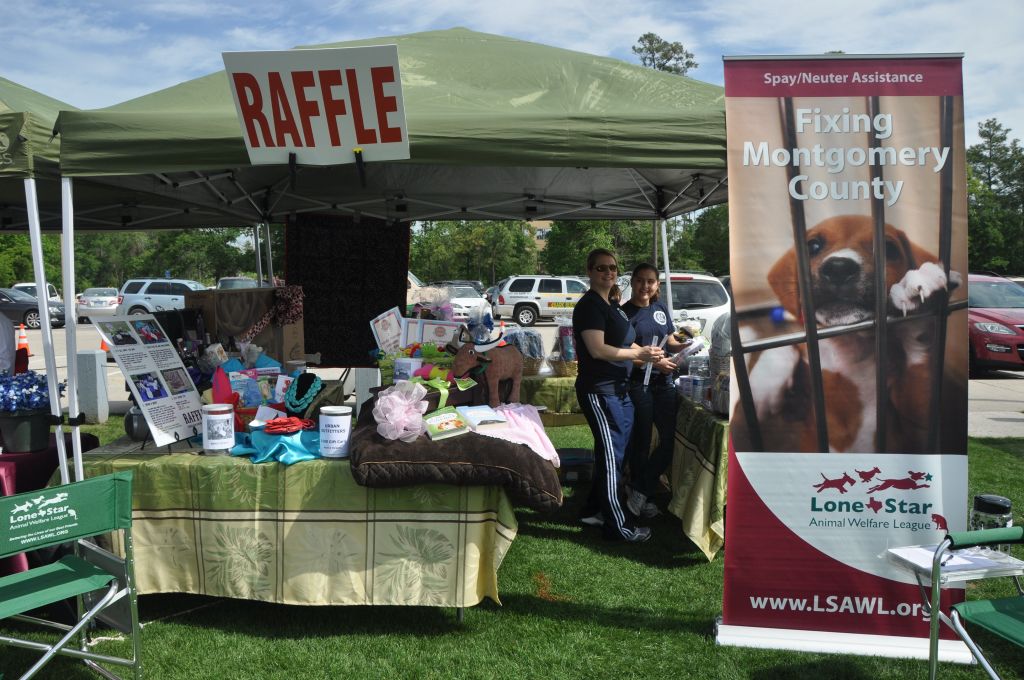 0408 spring bark 2013.jpg