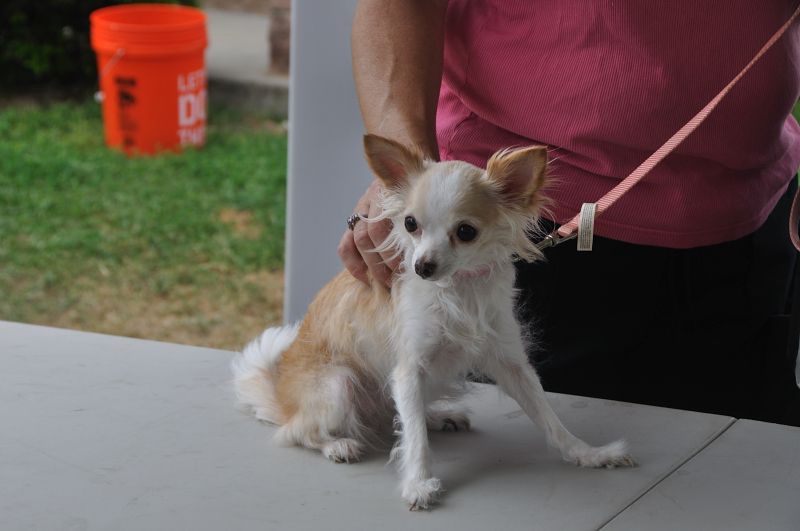 0069 PetHealthFair 4-14.jpg