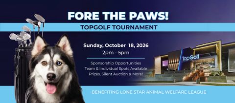 LSAWL - TOPGOLF - Homepage Cover - 2026.jpg