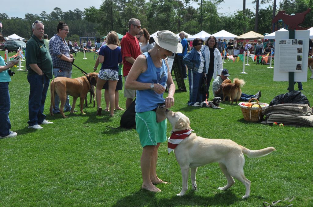 0516 spring bark 2013.jpg