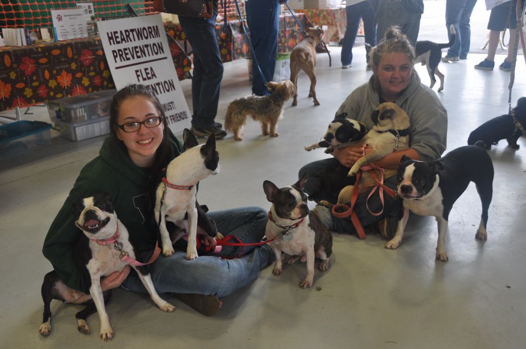 0100 Pet Health Fair 11-13.jpg