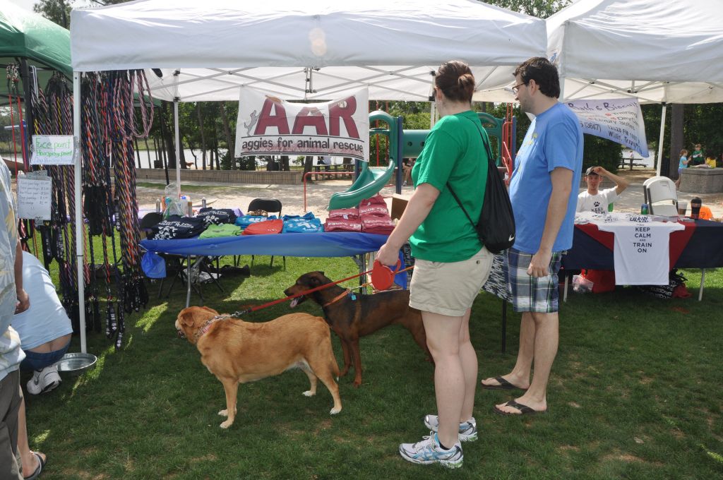 0423 spring bark 2013.jpg