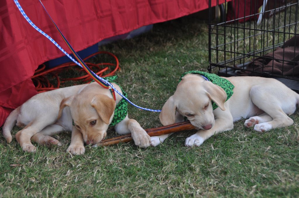 0592 Emma&Ivy 12-1-12.jpg