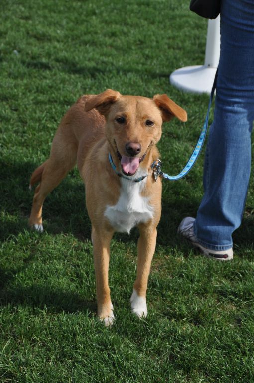 0349 spring bark 2013.jpg