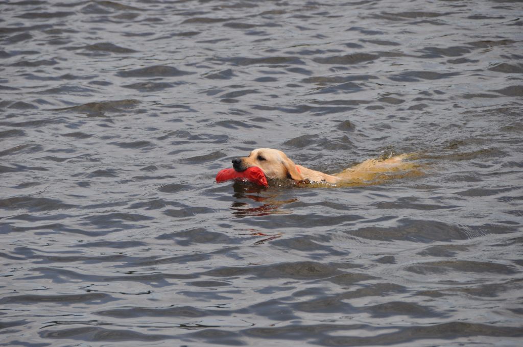 0631 spring bark 2013.jpg