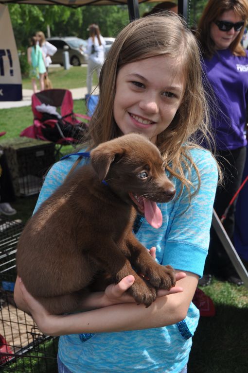 0448 spring bark 2013.jpg